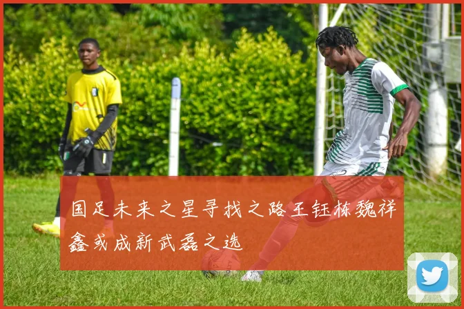 国足未来之星寻找之路王钰栋魏祥鑫或成新武磊之选