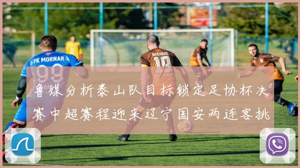 鲁媒分析泰山队目标锁定足协杯决赛中超赛程迎来辽宁国安两连客挑战